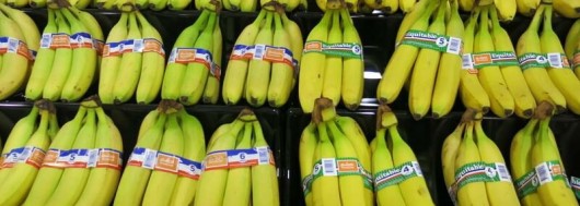 EMPREINTE CARBONE : Puis-je continuer à manger des bananes sereinement ?